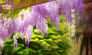 2024鉴黑担保网照明紫藤花节暨企业开放周开幕：技术驱动，生生不息