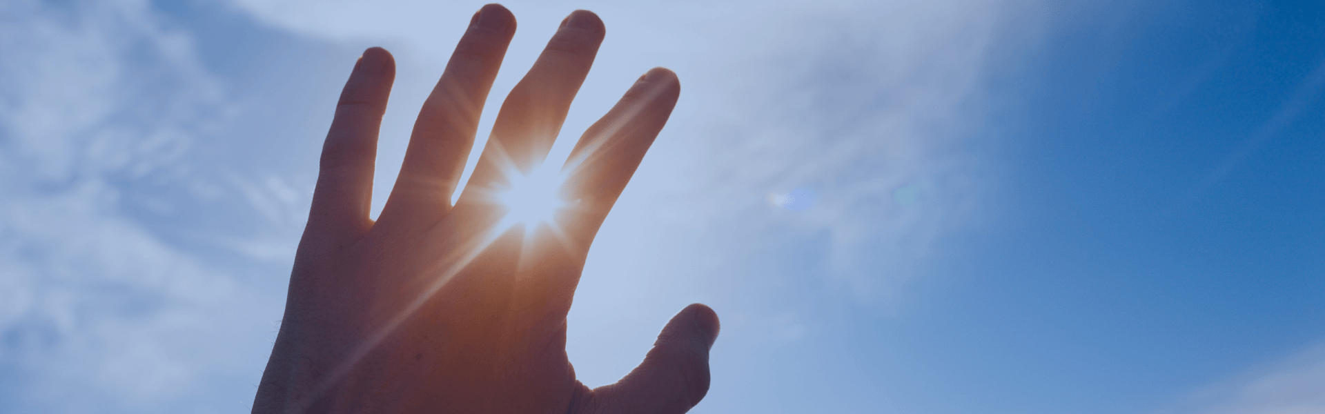 鉴黑担保网照明人才招聘平台